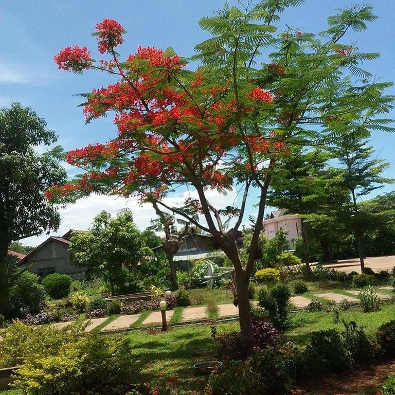 Xuanmai Garden Resort Pakse Eksteriør bilde