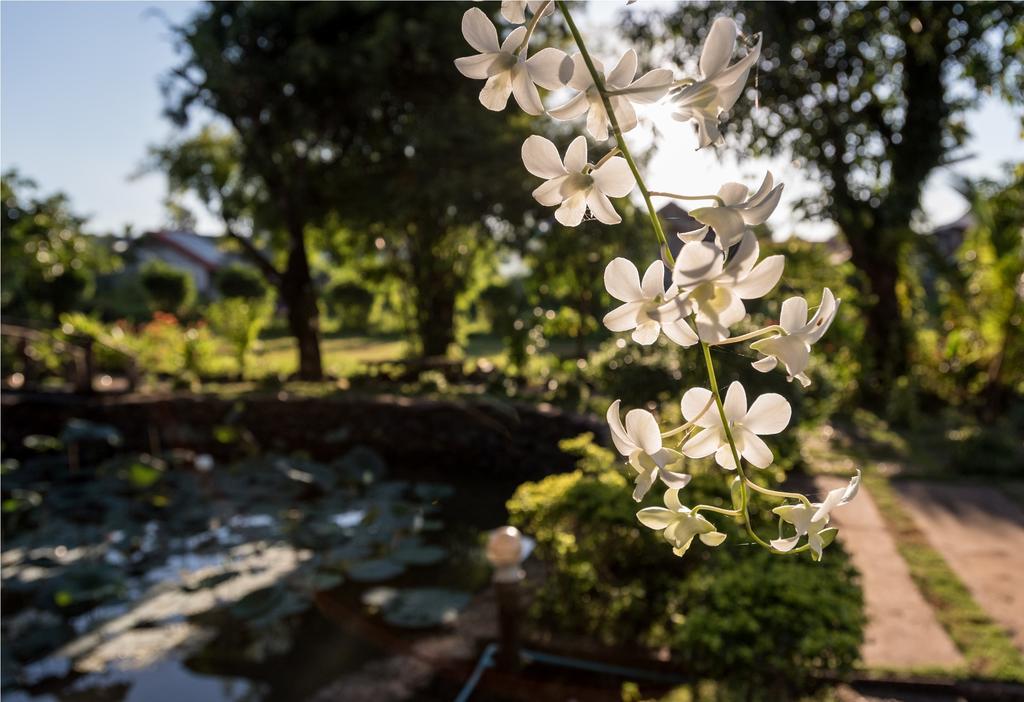Xuanmai Garden Resort Pakse Eksteriør bilde